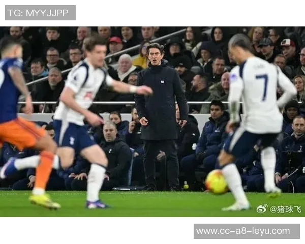 热刺主帅弗兰克面临下课危机高层考虑是否更换教练